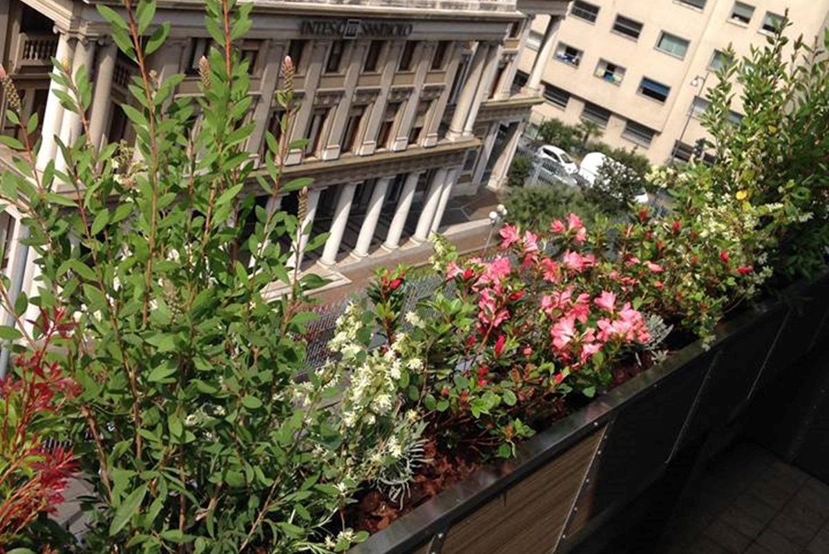 Fioriere fiorite su terrazzo cittadino
